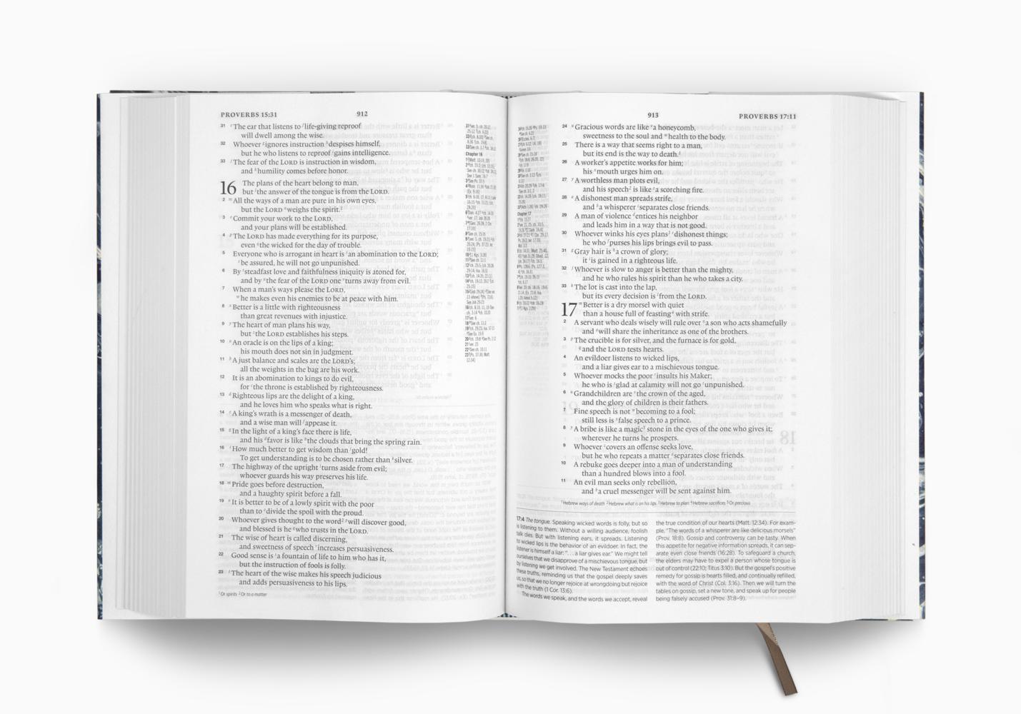 ESV Gospel Transformation Study Bible: Christ in All of Scripture, Grace for All of Life