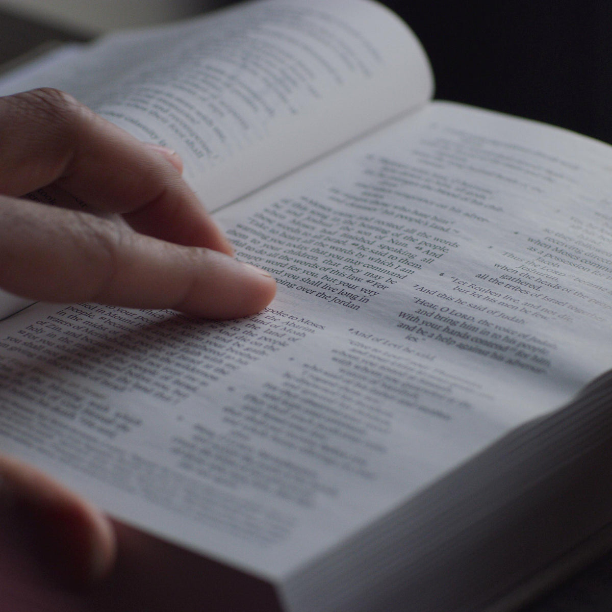 ESV Men's Devotional Bible (Cloth over Board)