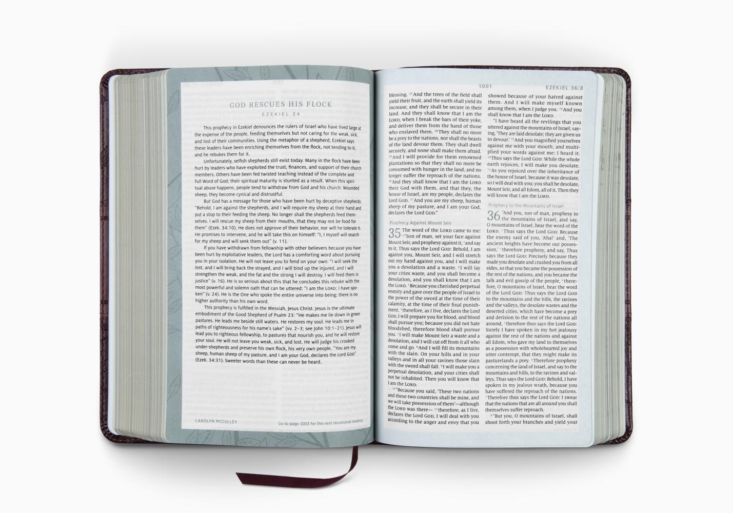 ESV Women's Devotional Bible (TruTone, Burgundy, Birch Design)