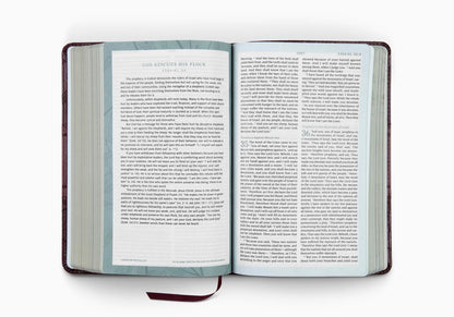 ESV Women's Devotional Bible (TruTone, Burgundy, Birch Design)
