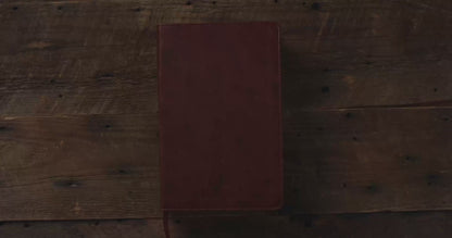 ESV Student Study Bible (TruTone, Chestnut)
