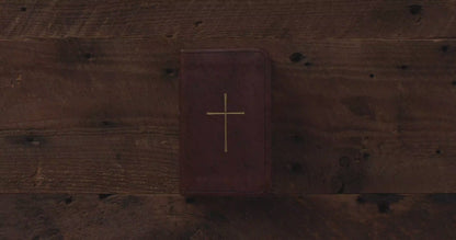 ESV Vest Pocket New Testament with Psalms and Proverbs (TruTone, Dark Brown, Cross Design)