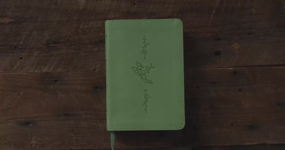 ESV Kid's Bible, Compact (TruTone, Bird of the Air)