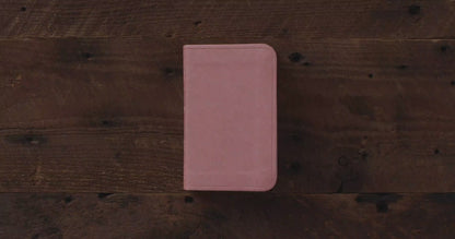 ESV Baby New Testament with Psalms and Proverbs (TruTone, Pocket Size, Pink)