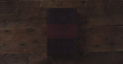 ESV Women's Devotional Bible (TruTone, Burgundy, Birch Design)