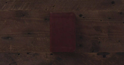 ESV Vest Pocket New Testament with Psalms and Proverbs (TruTone, Chestnut)