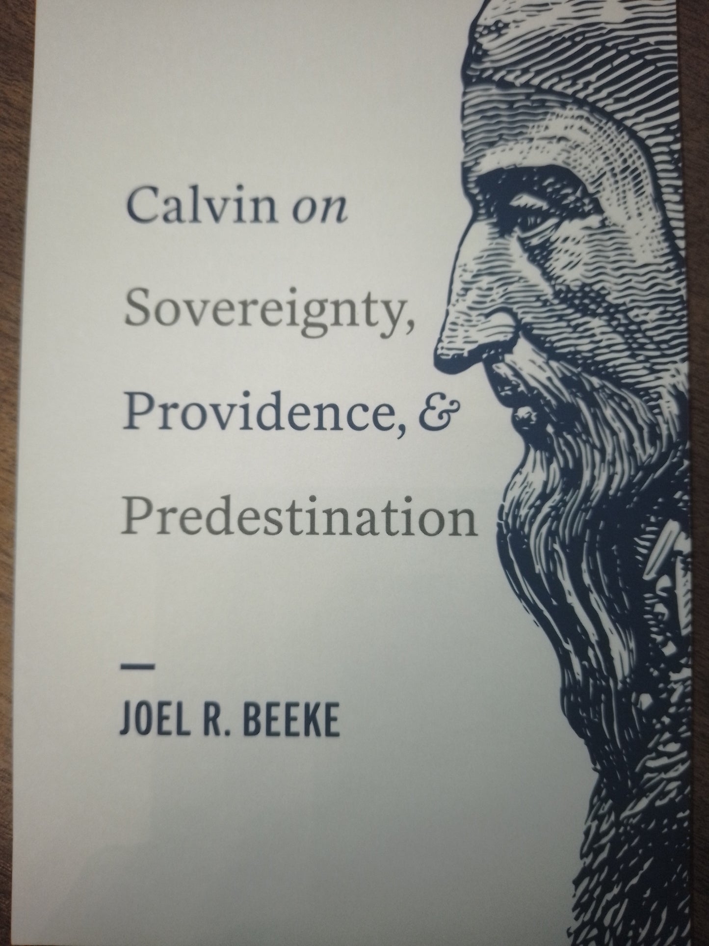 Calvin on Sovereignty, Providence, and Predestination (Slight Damage)