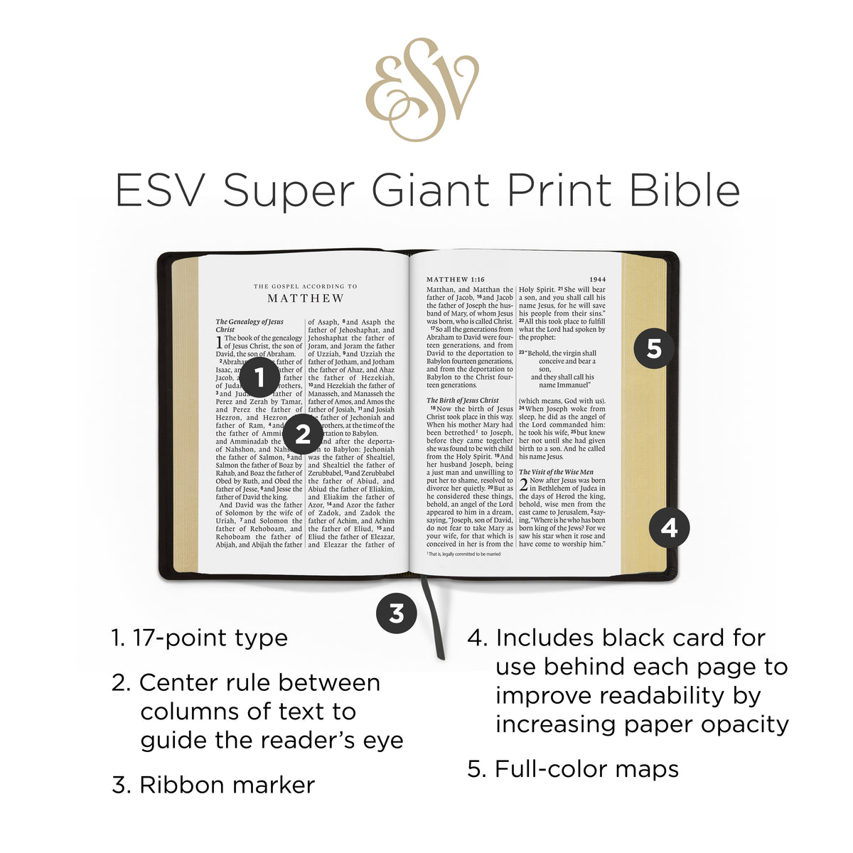 ESV Super Giant Print(Font Size - 17pt) Bible (TruTone, Black)