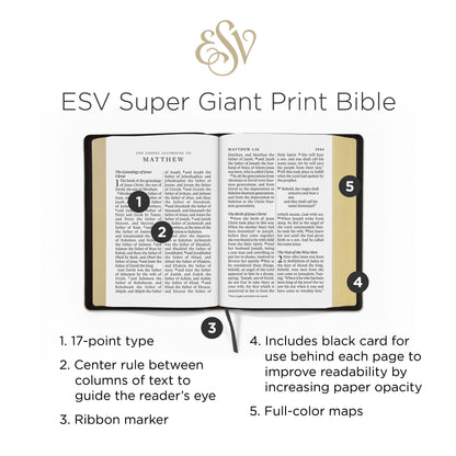 ESV Super Giant Print(Font Size - 17pt) Bible (TruTone, Black)